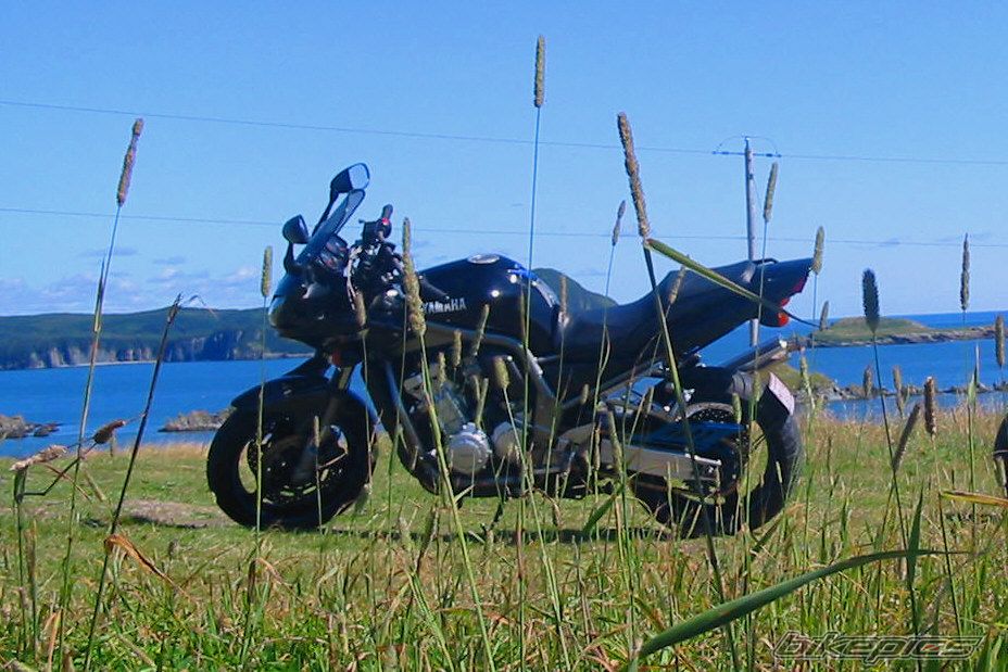Photo 1416780