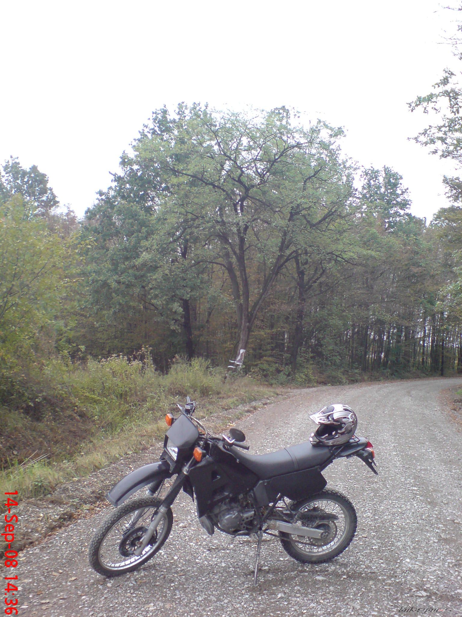 Bike Photo 1416805