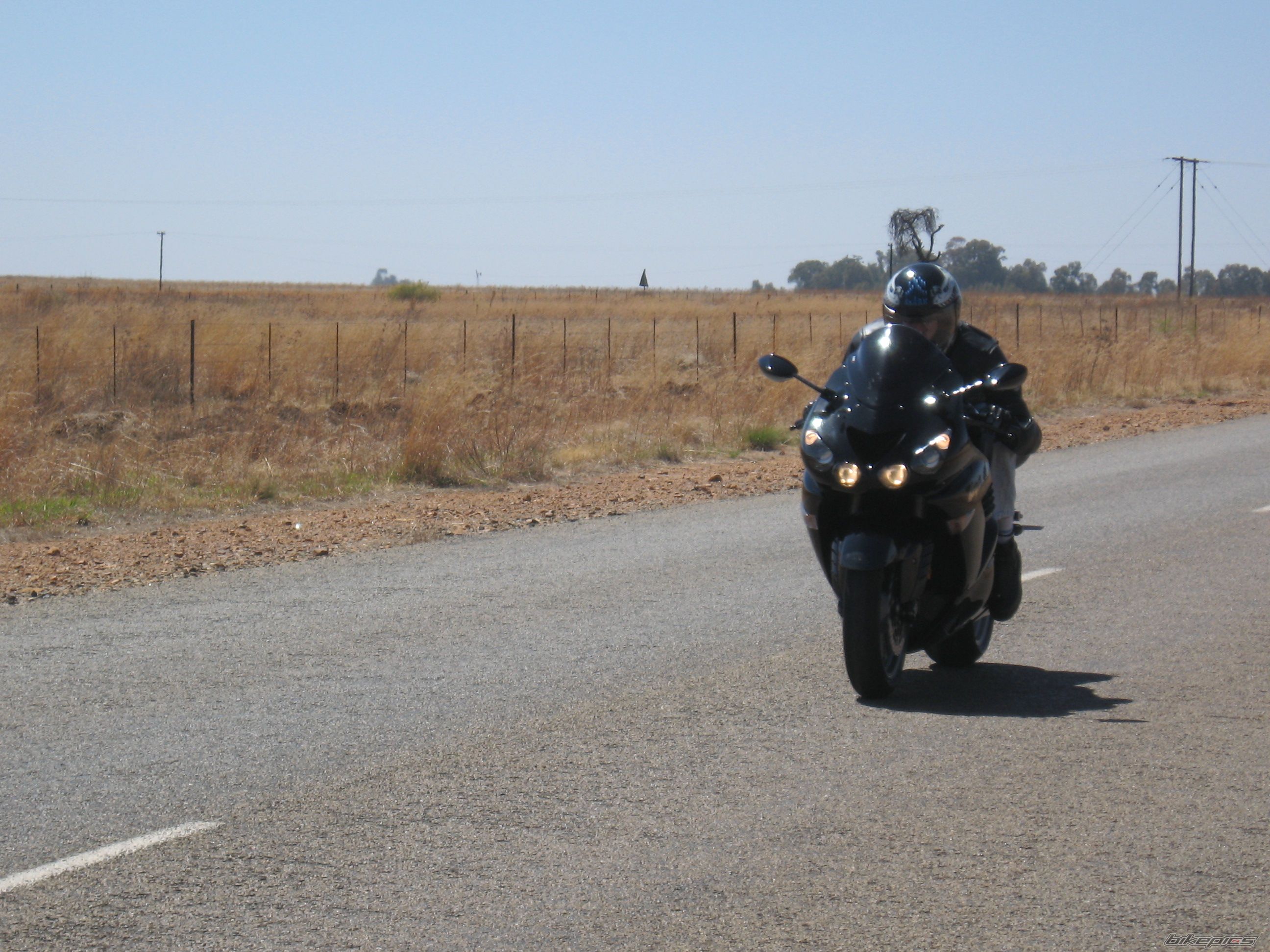 Photo 1416979