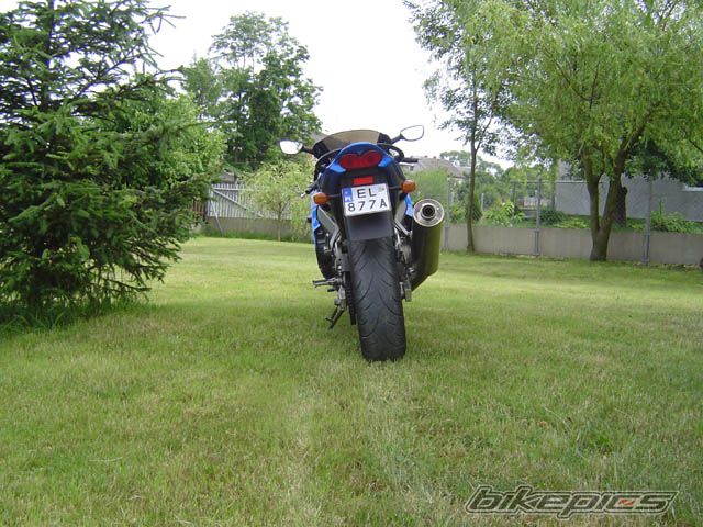 Photo 1417015