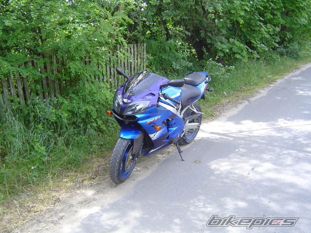 Photo 1417025