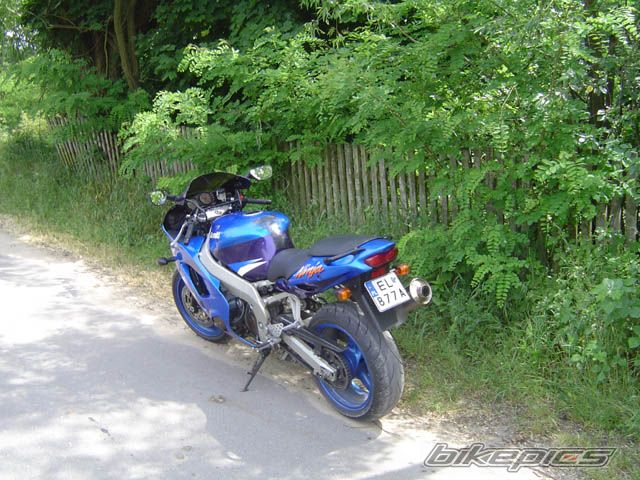 Photo 1417026