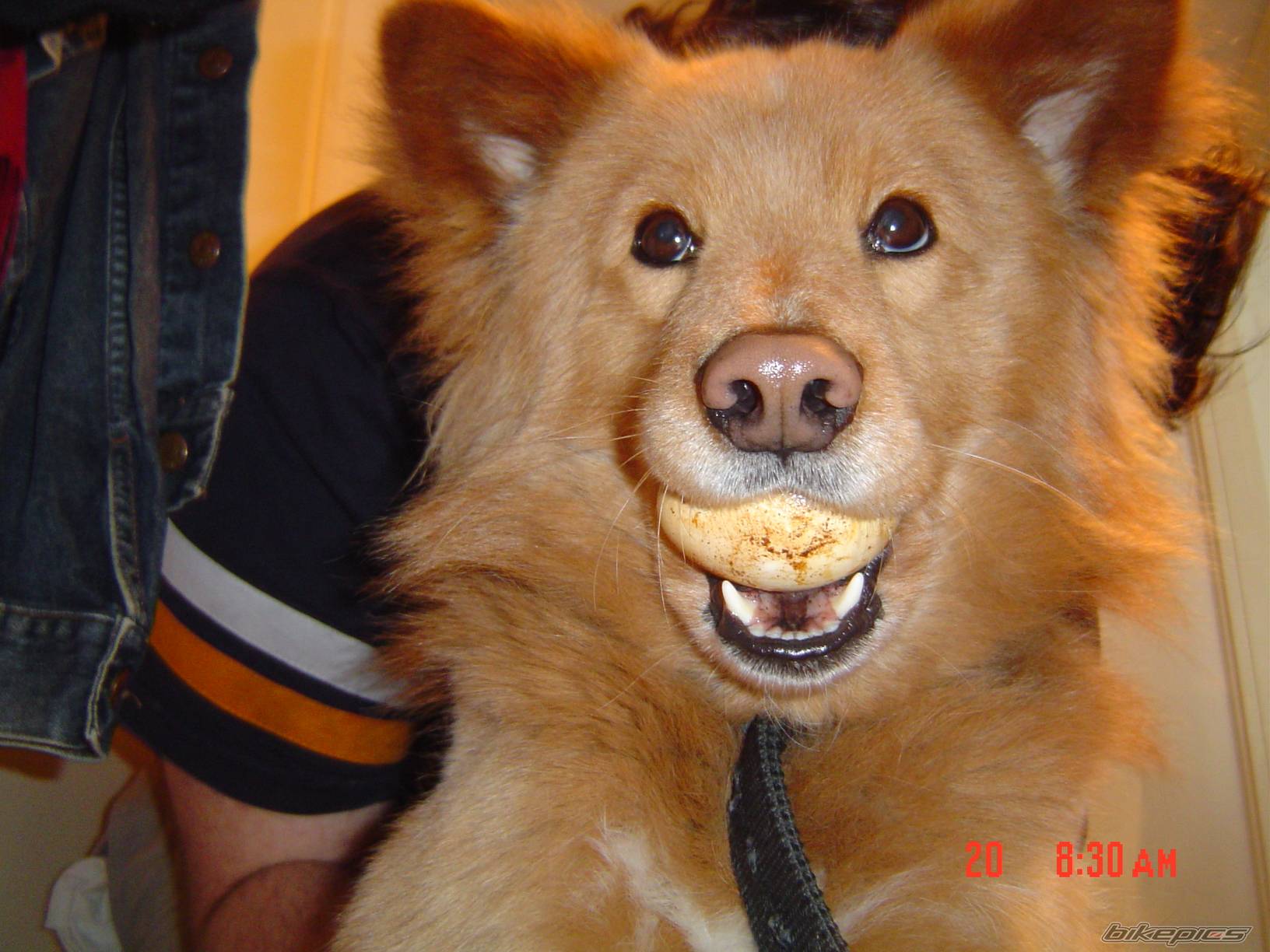 Photo 141703