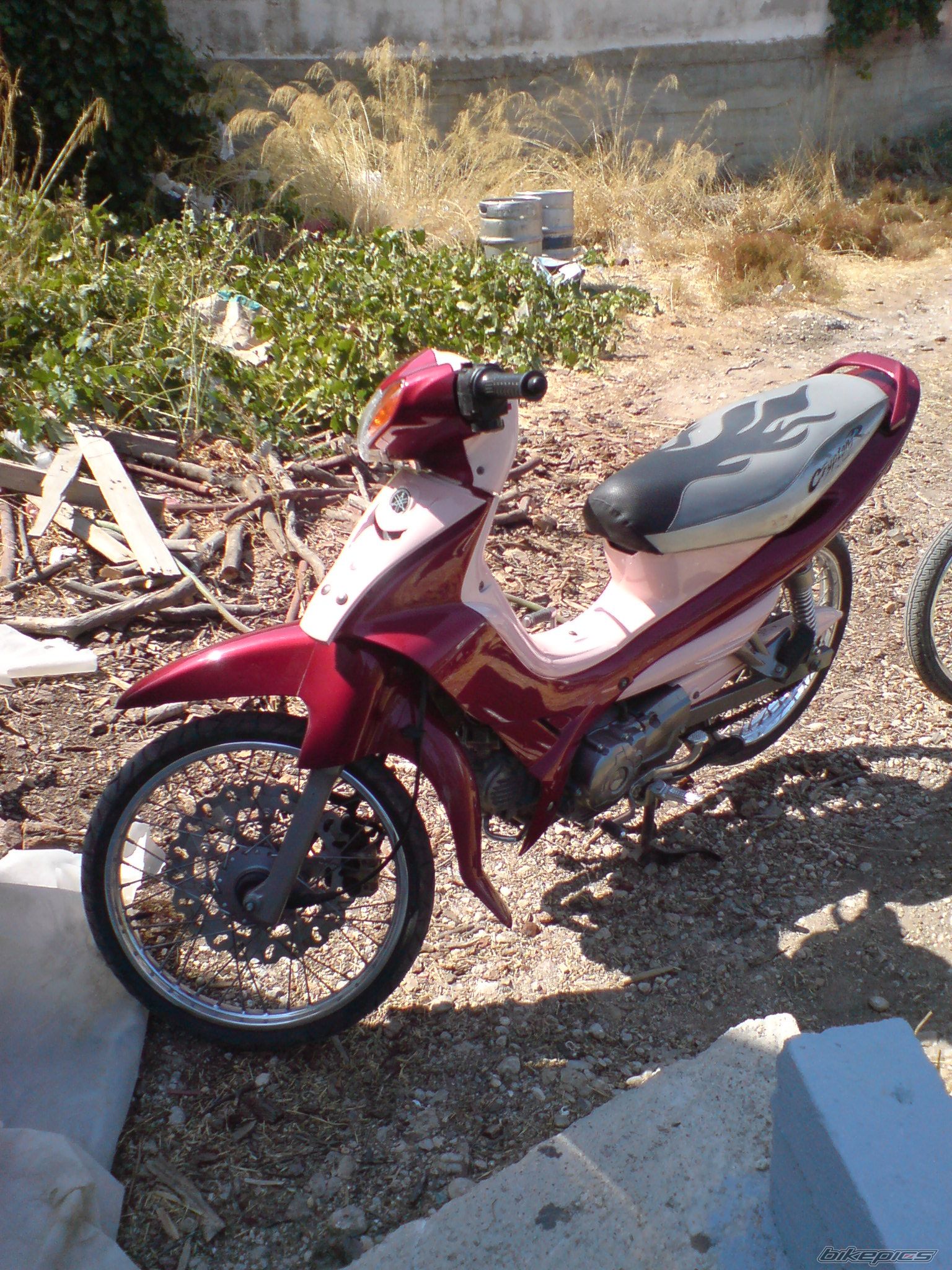 Photo 1417255