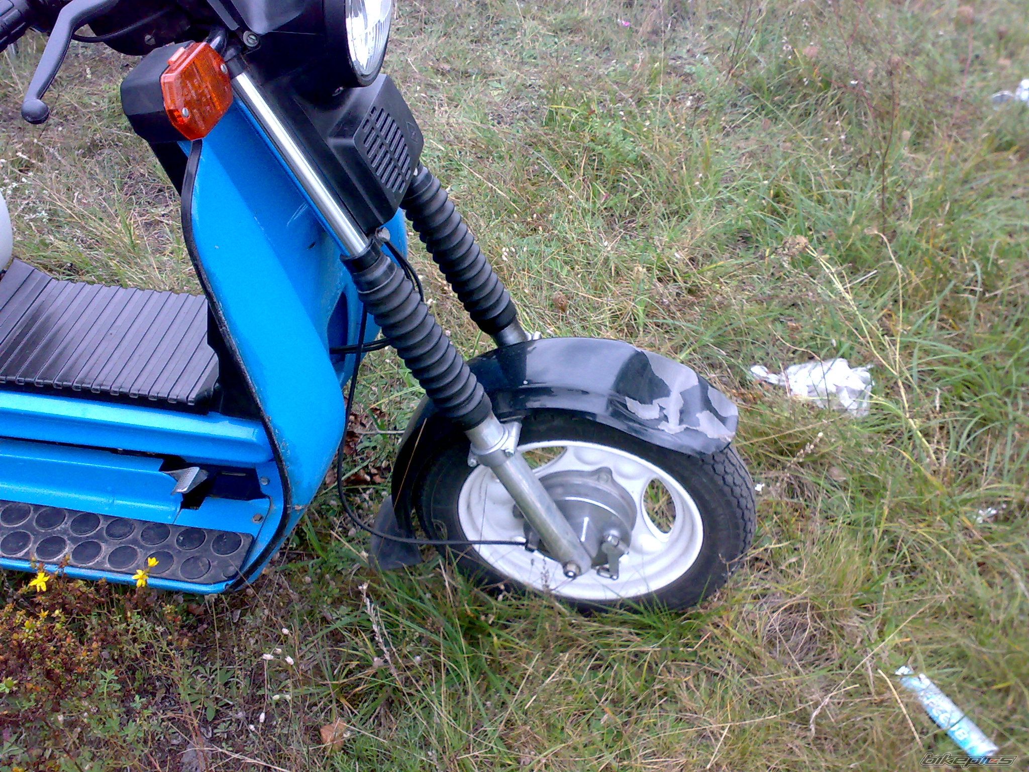 Photo 1417309