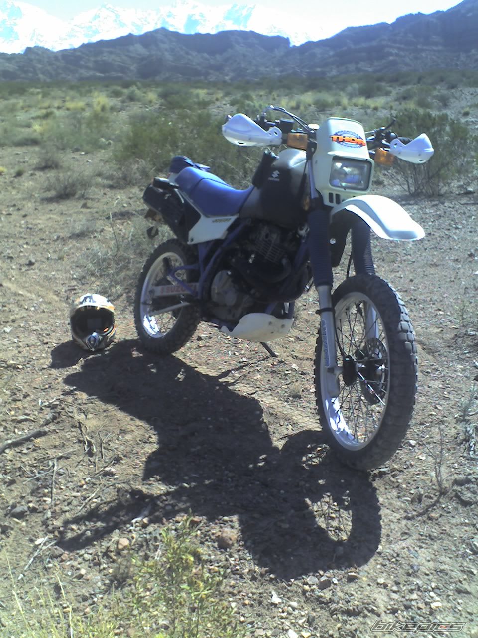 Photo 1417353