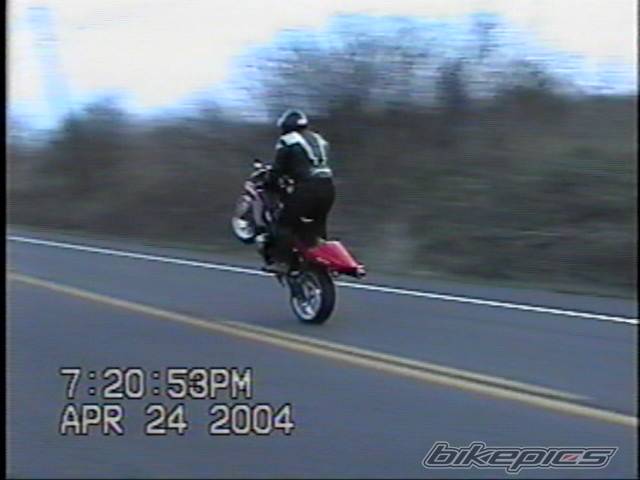 Photo 141747