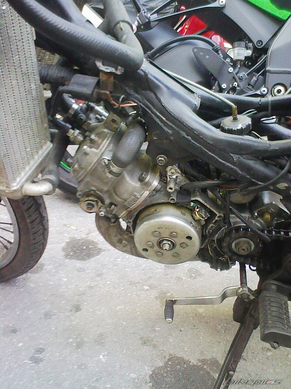 Photo 1417484