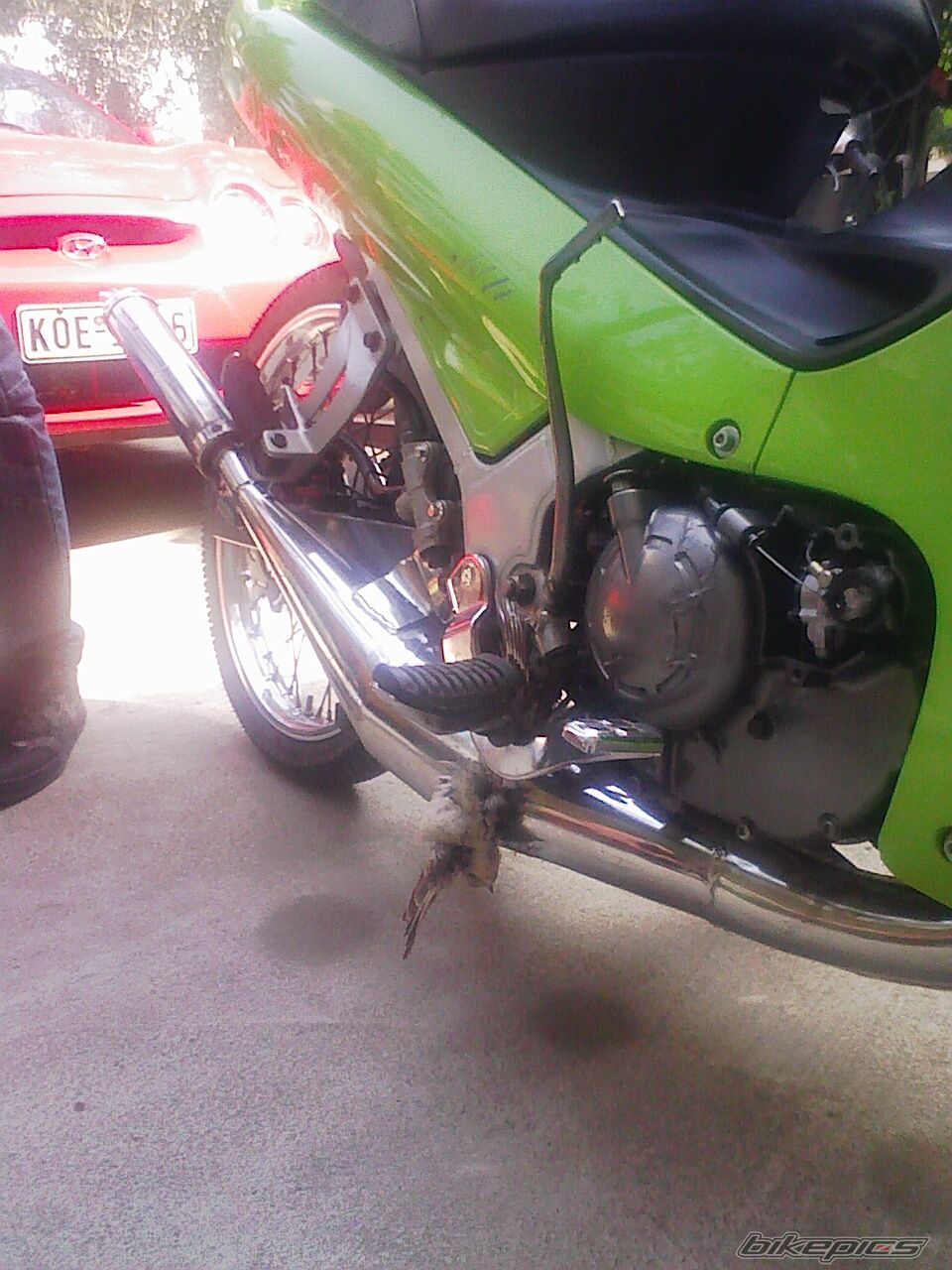 Bike Photo 1417487