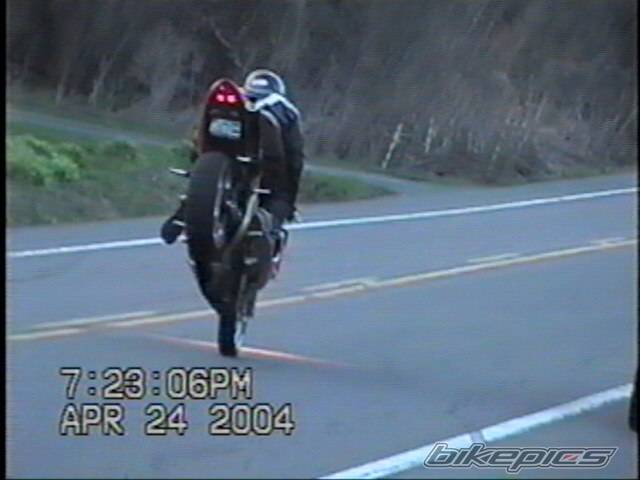 Photo 141751