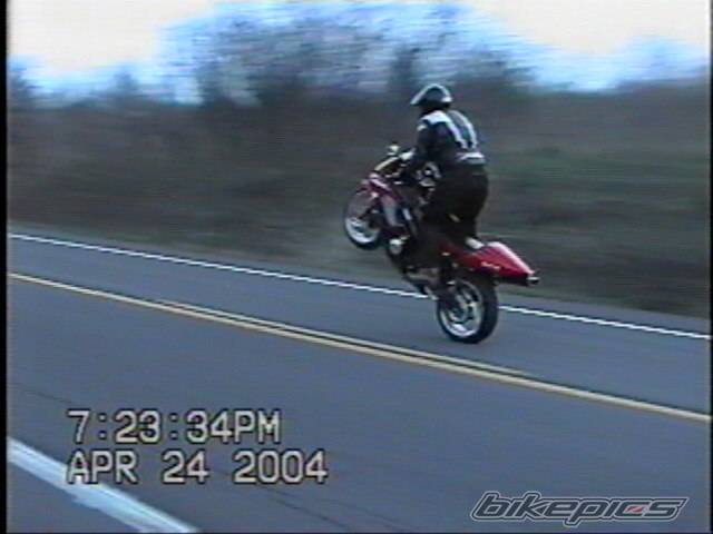 Photo 141753