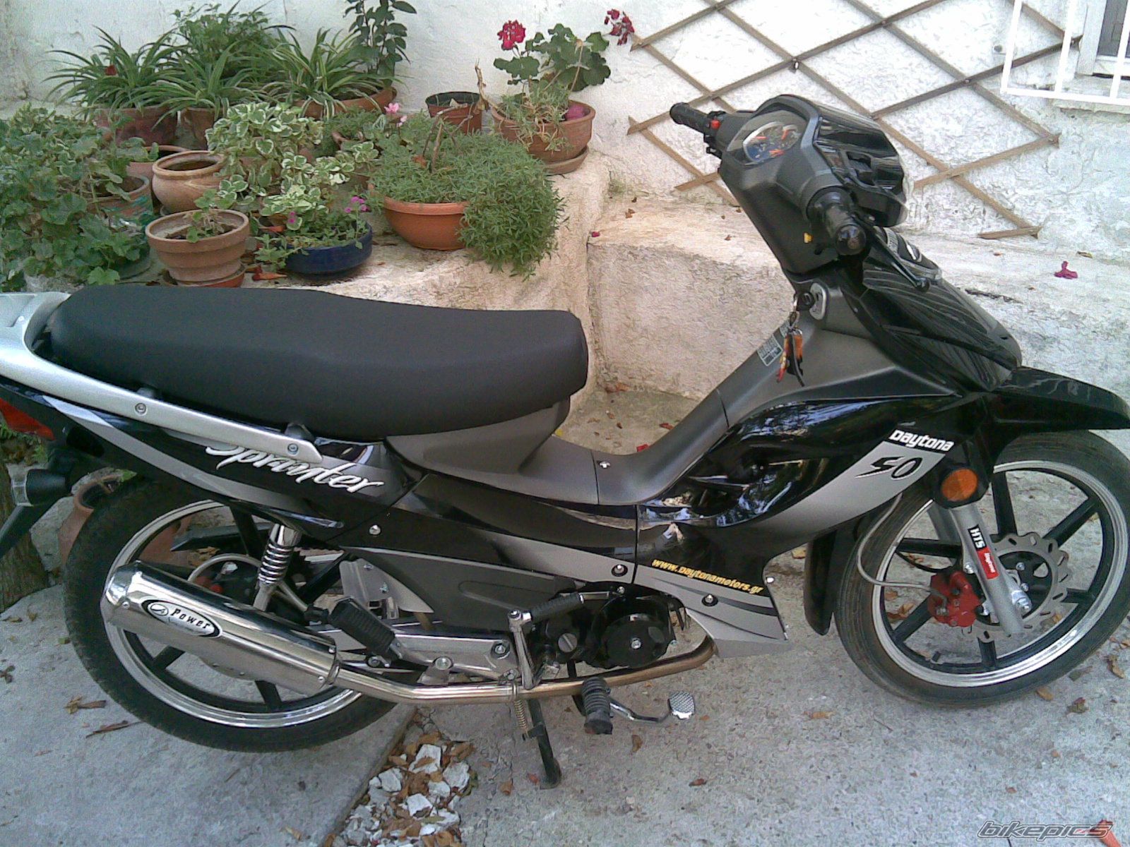 Photo 1417533