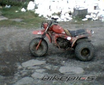 Photo 1417605