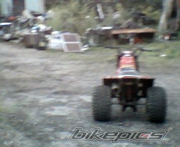 Photo 1417606