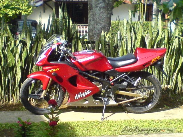 Bike Photo 1417684