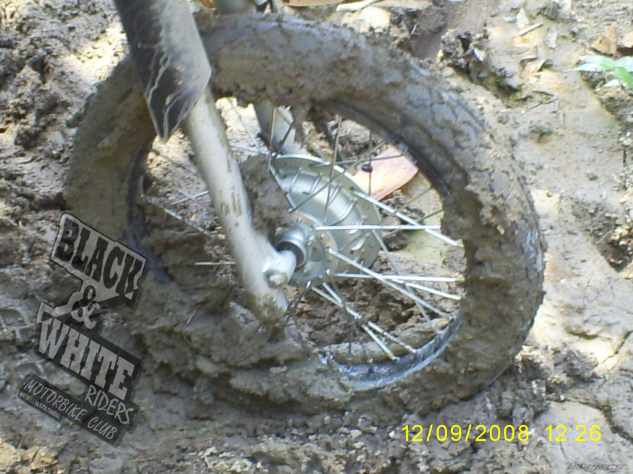Photo 1417723