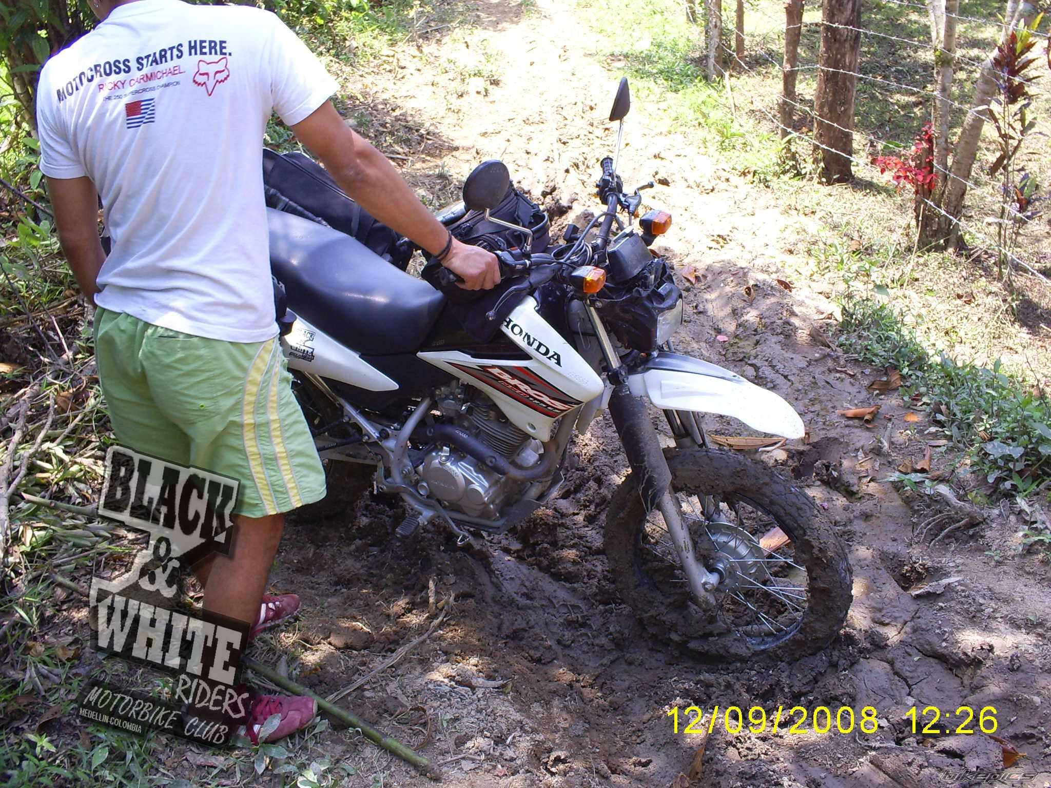 Photo 1417745