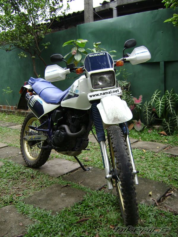 Photo 1417802