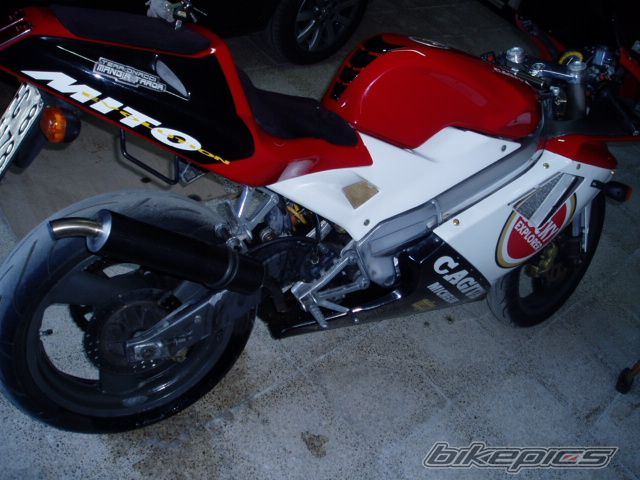 Photo 1417835