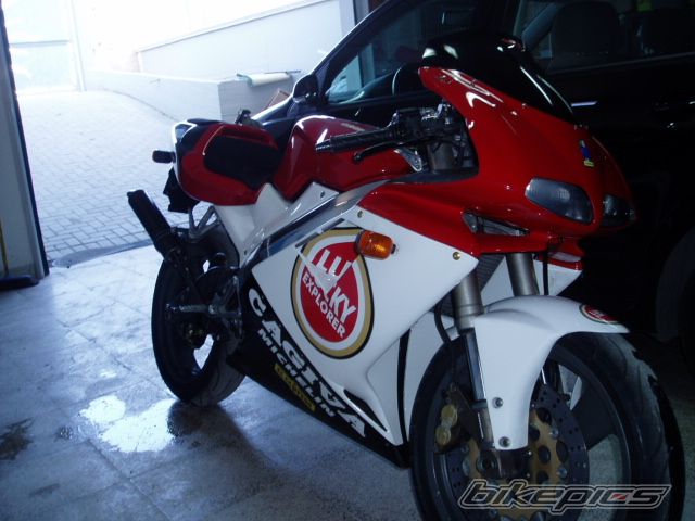 Photo 1417849