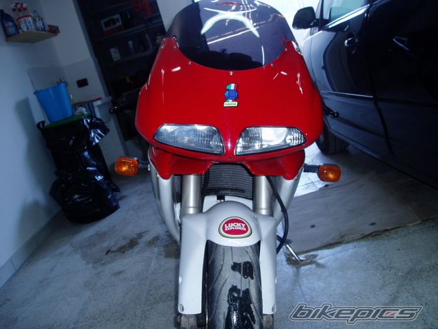 Photo 1417850