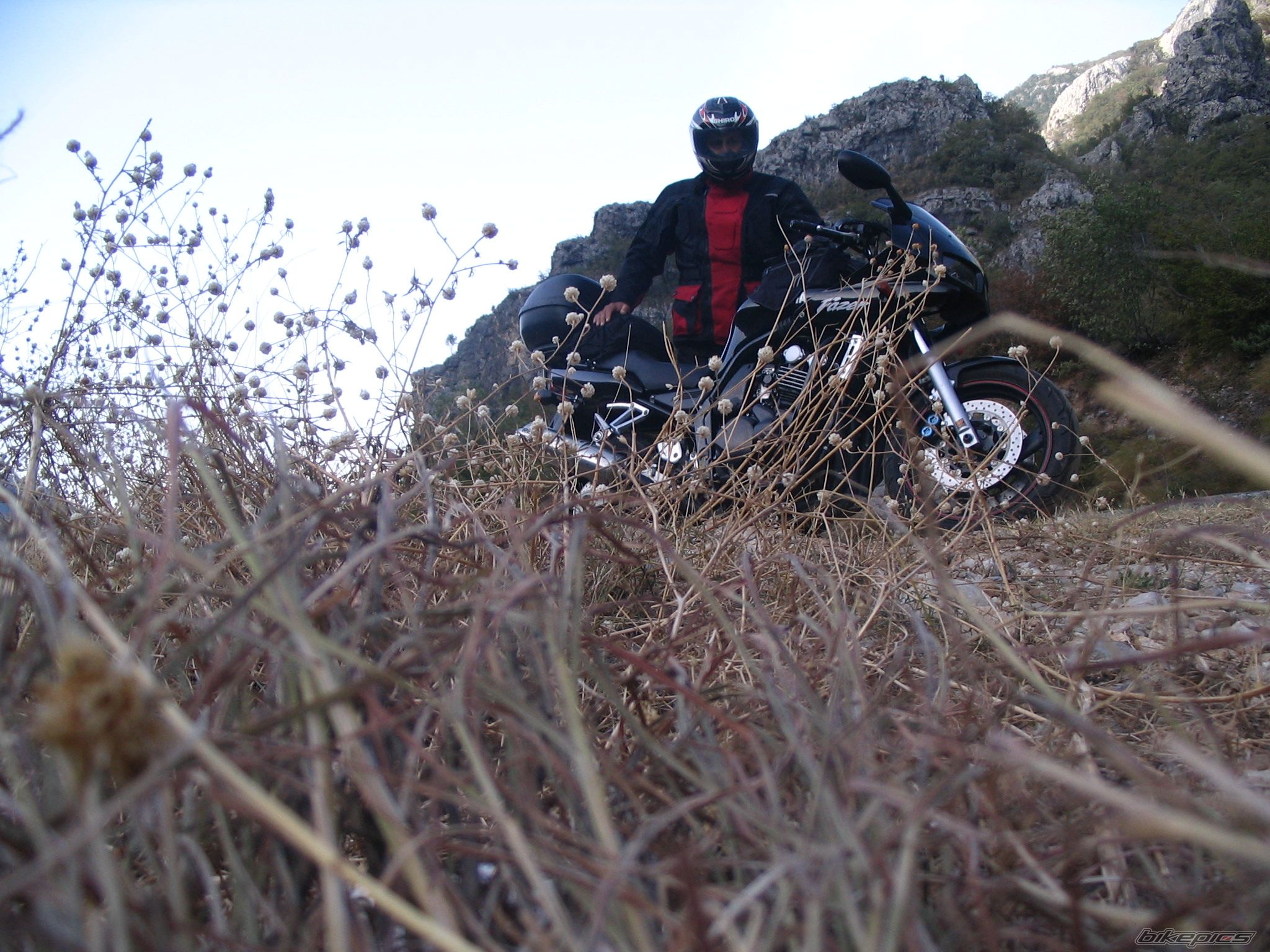Photo 1417877