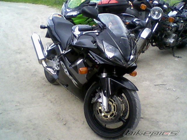 Photo 1417901