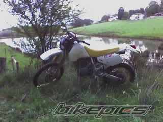 Photo 1417908