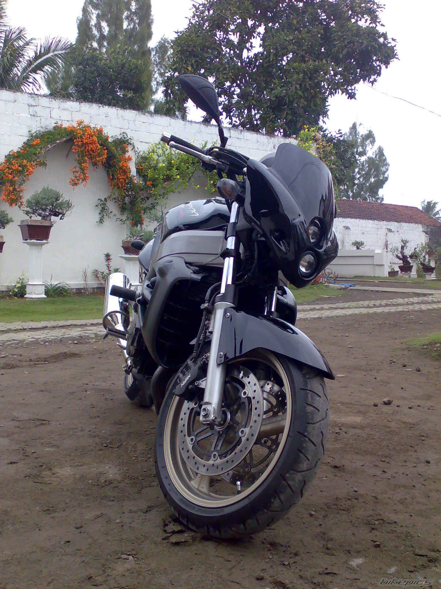 Photo 1417934