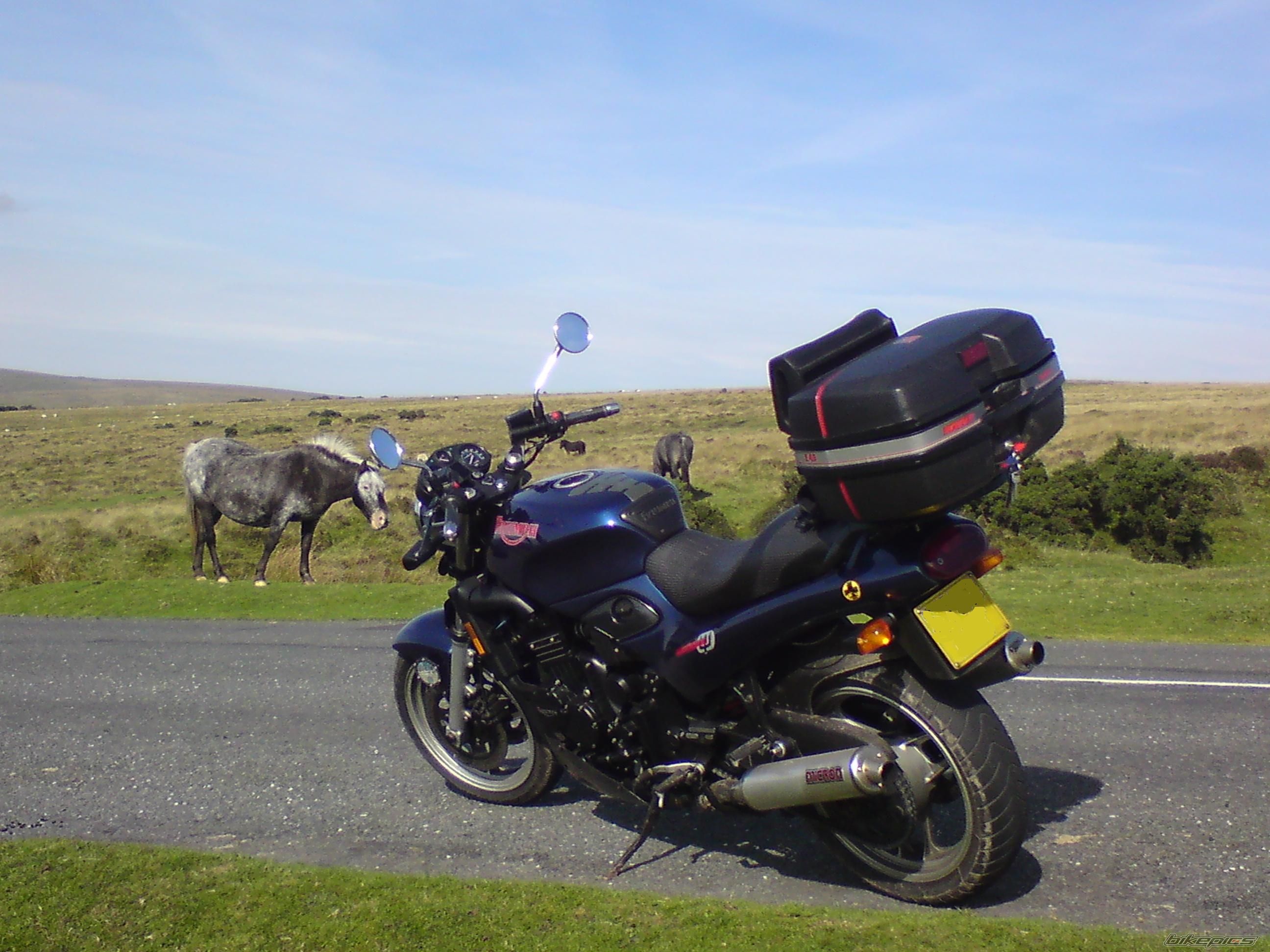 Photo 1417962
