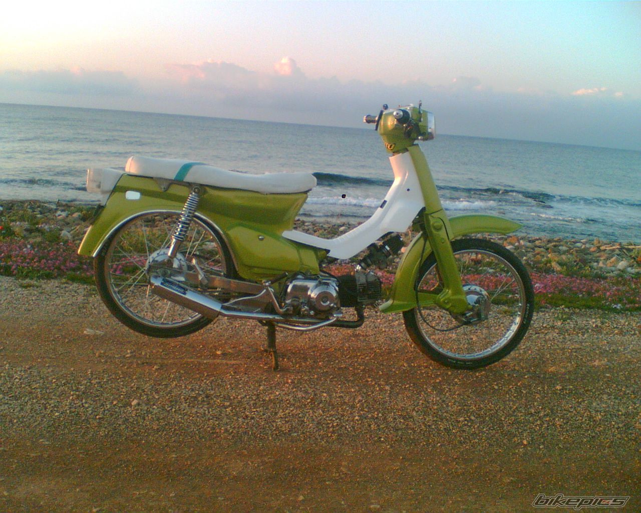 Photo 1417993