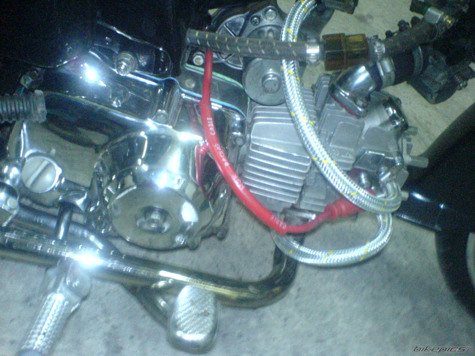 Photo 1418066