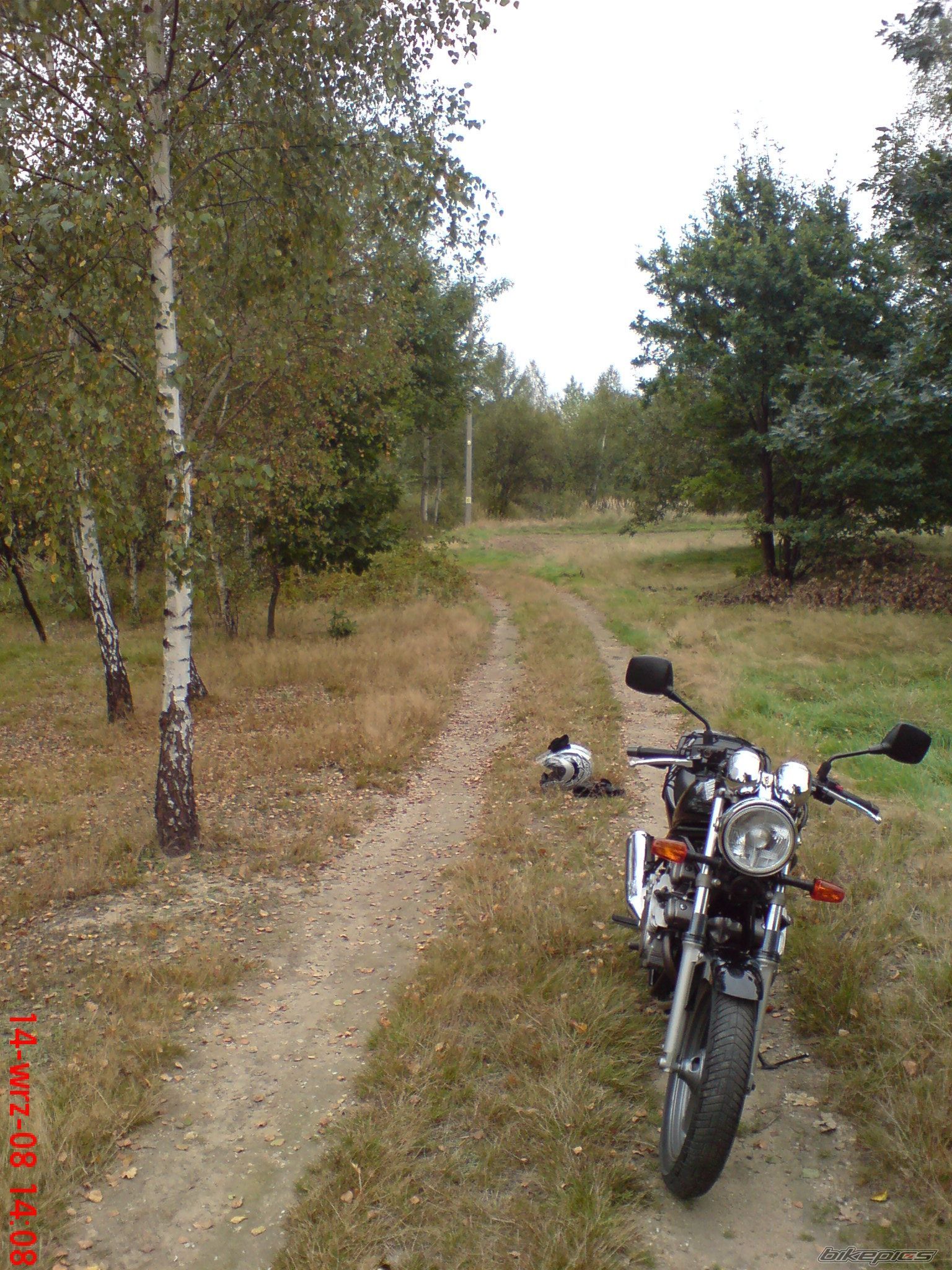 Photo 1418100