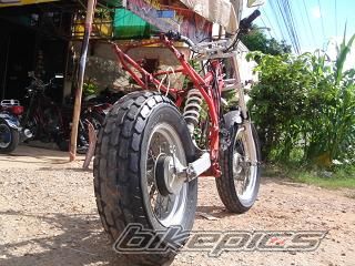 Photo 1418156