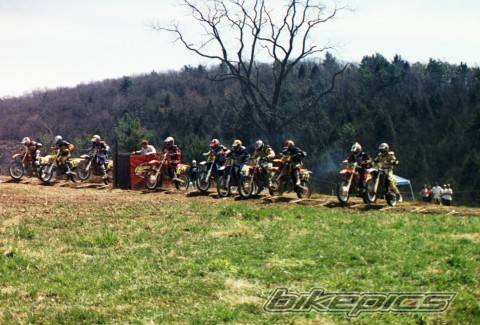Photo 141819