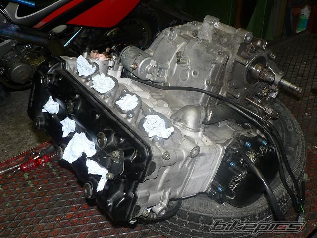 Photo 1418241