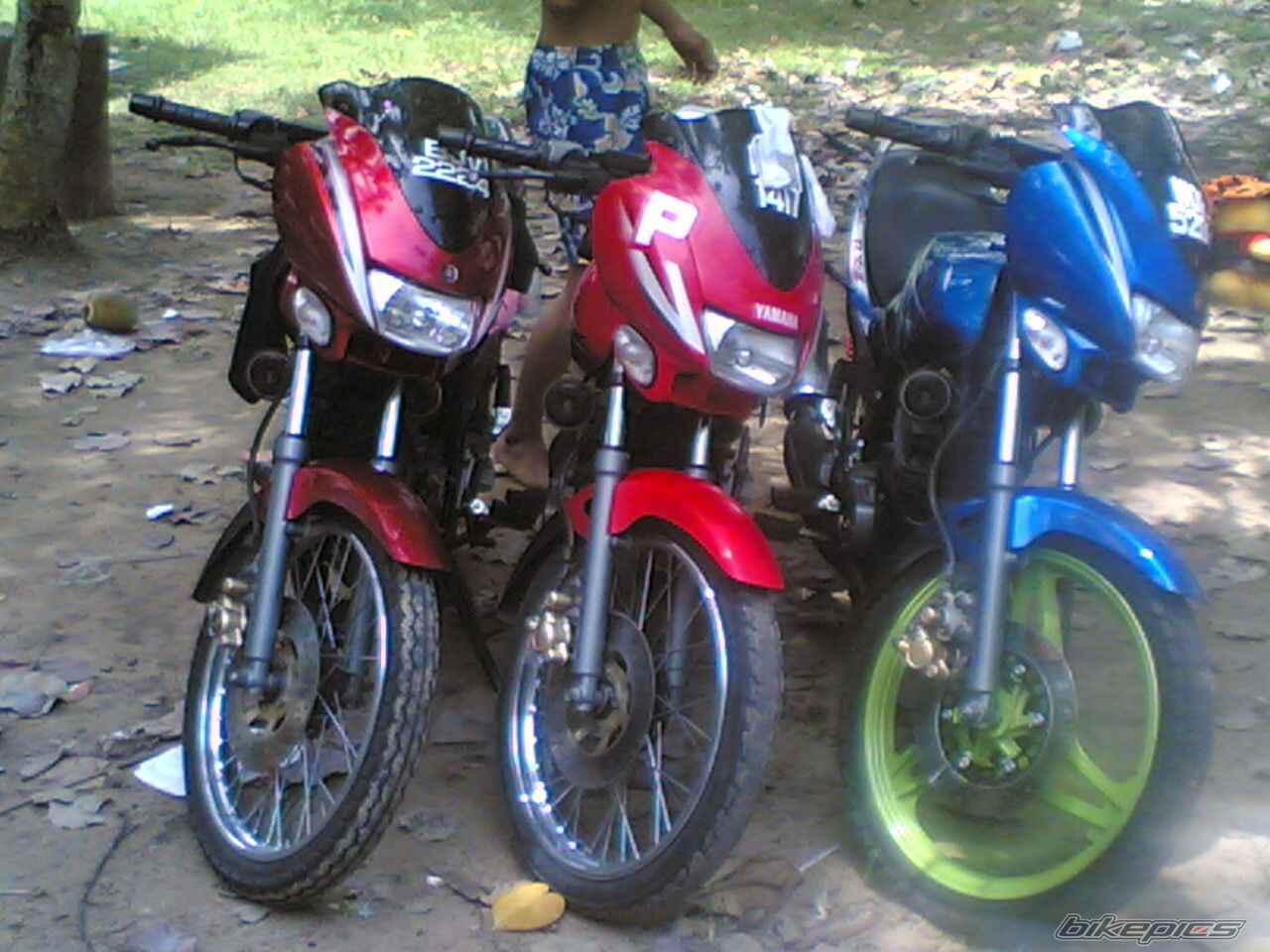 Photo 1418247