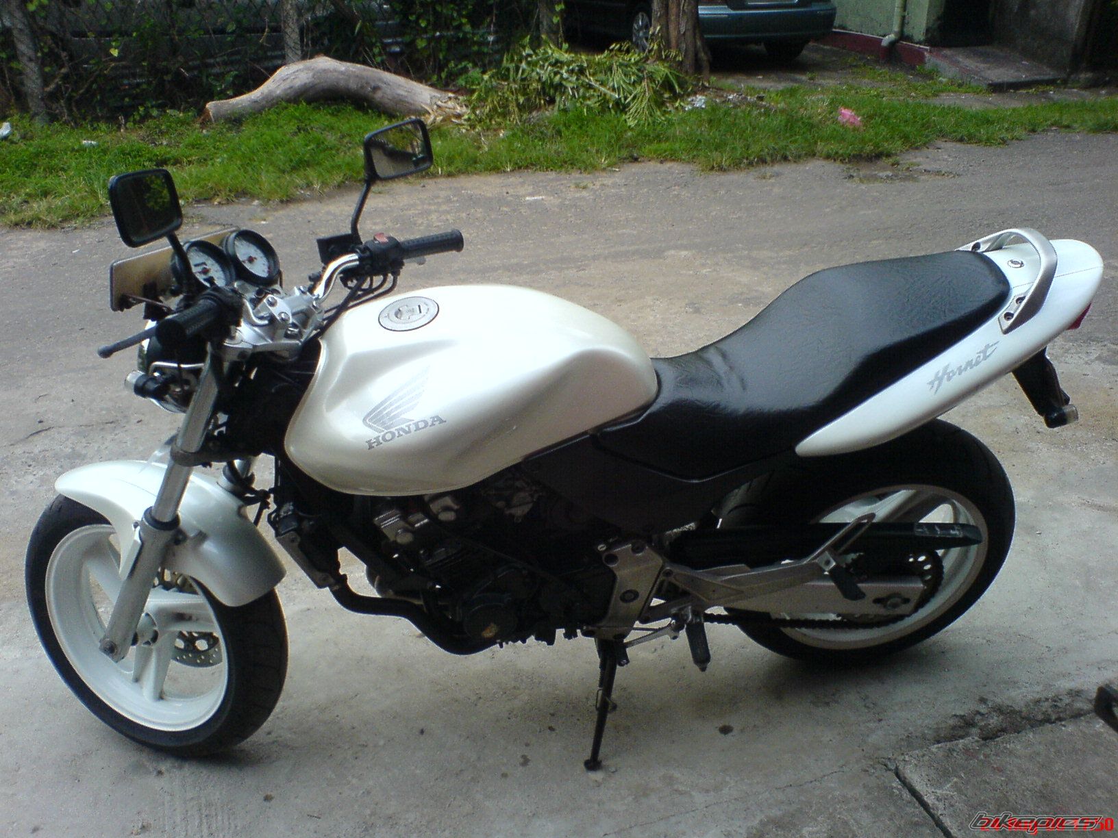 Photo 1418252