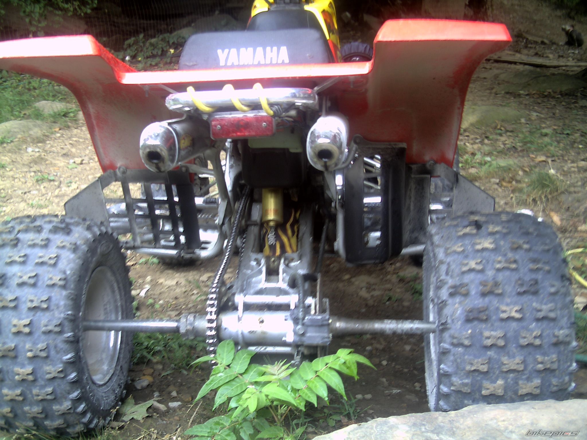 Photo 1418417