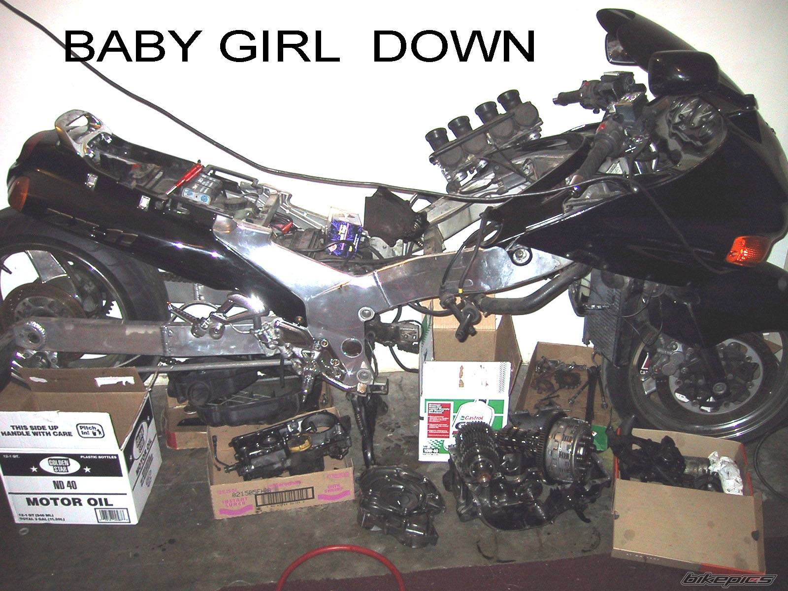 Photo 141851