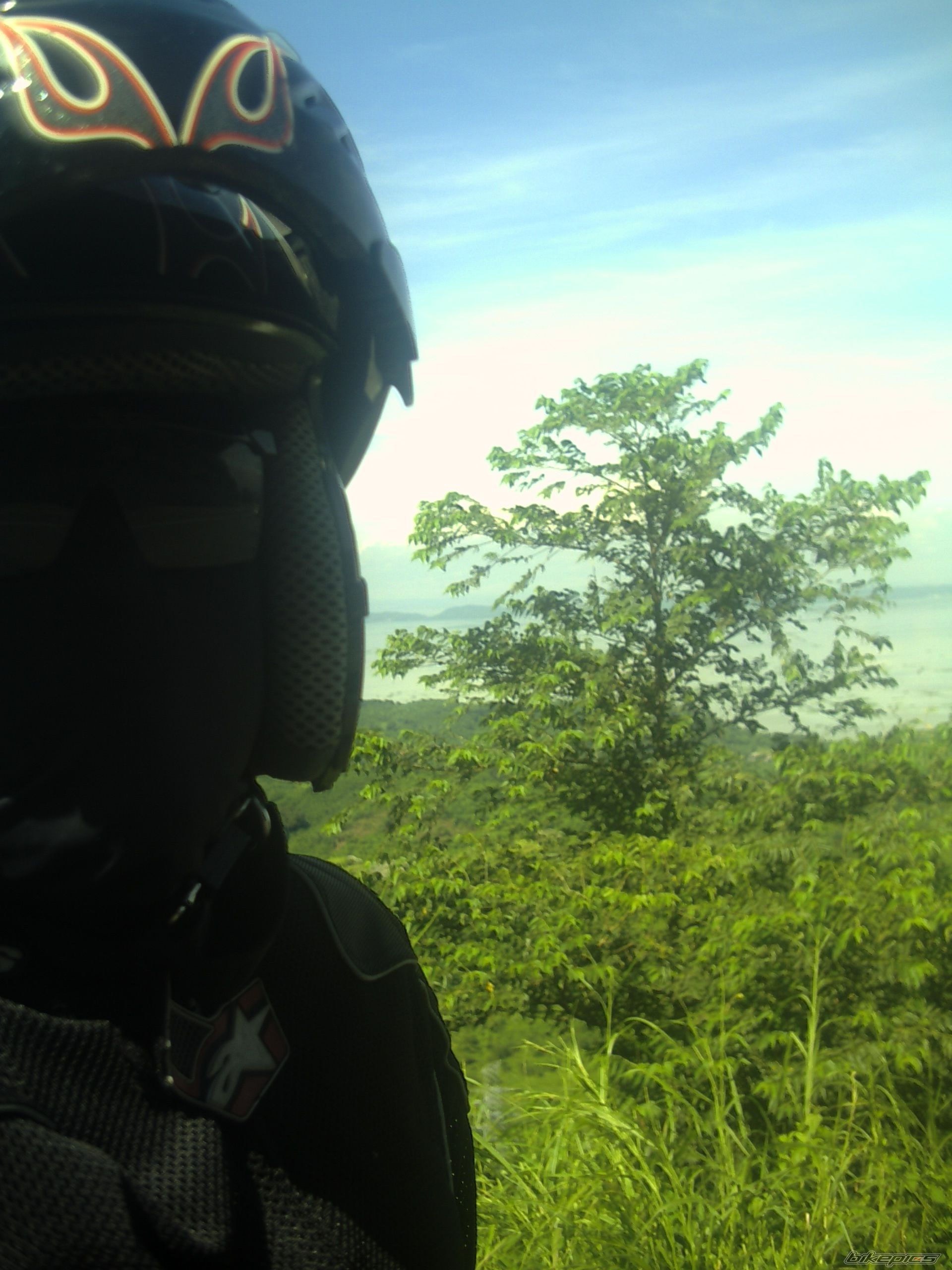 Photo 1418525