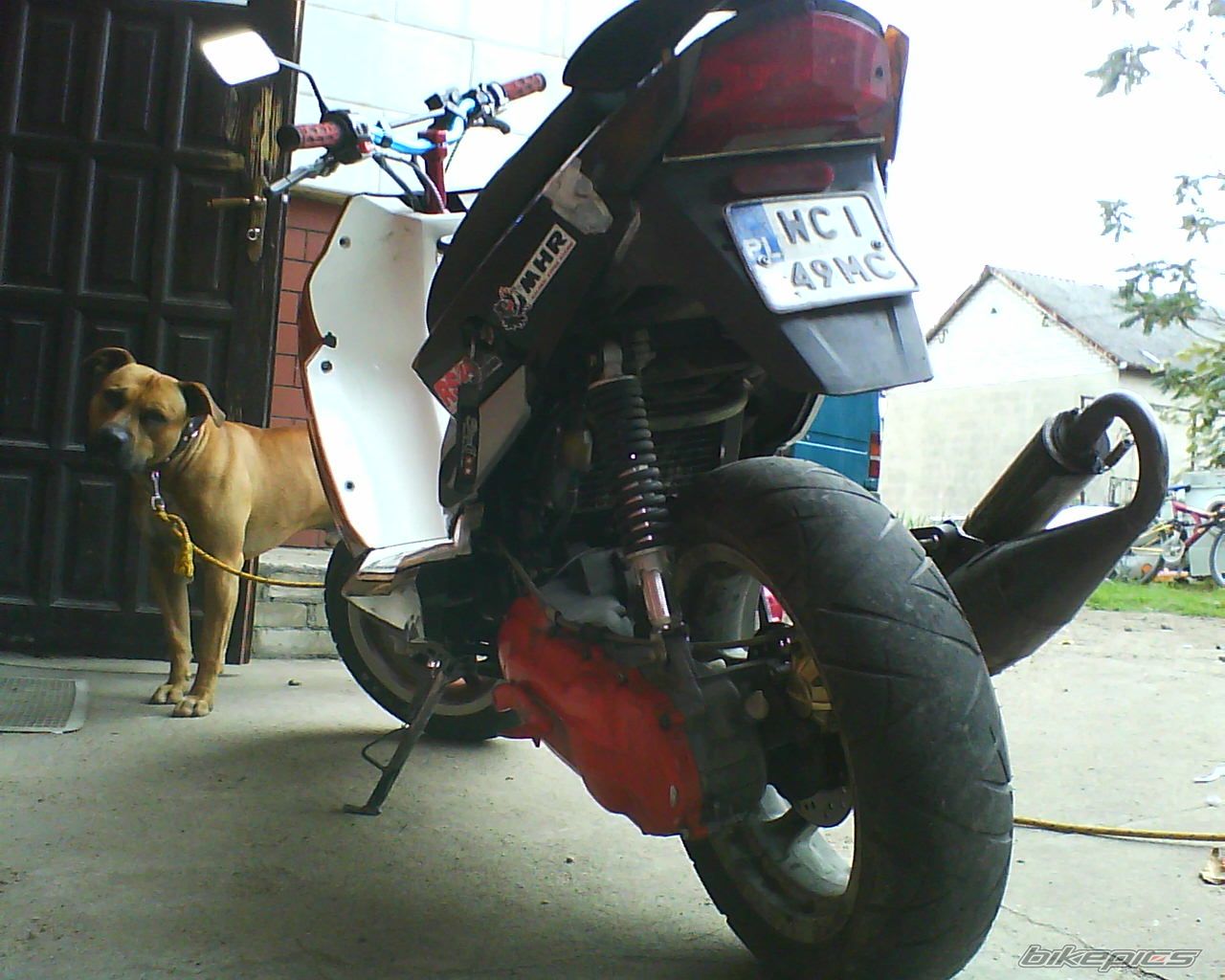 Photo 1418553