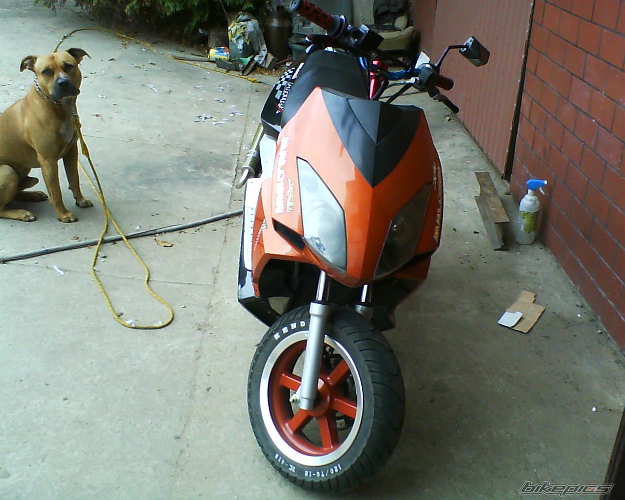 Photo 1418554