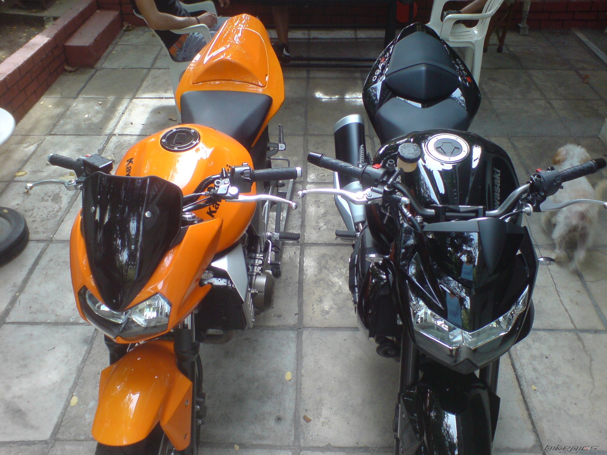 Photo 1418595