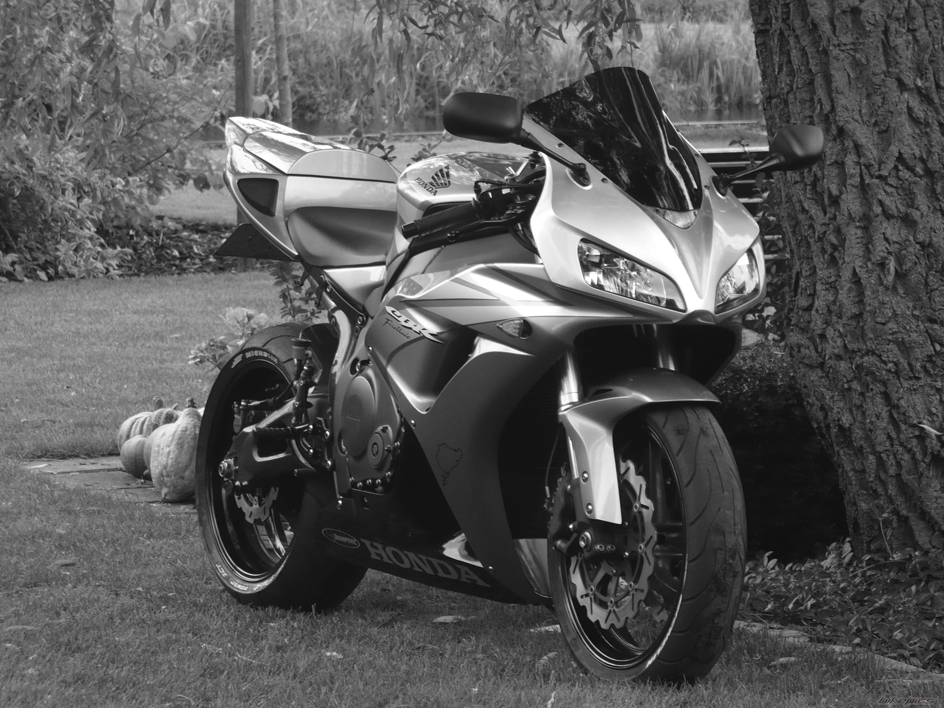 Photo 1418600