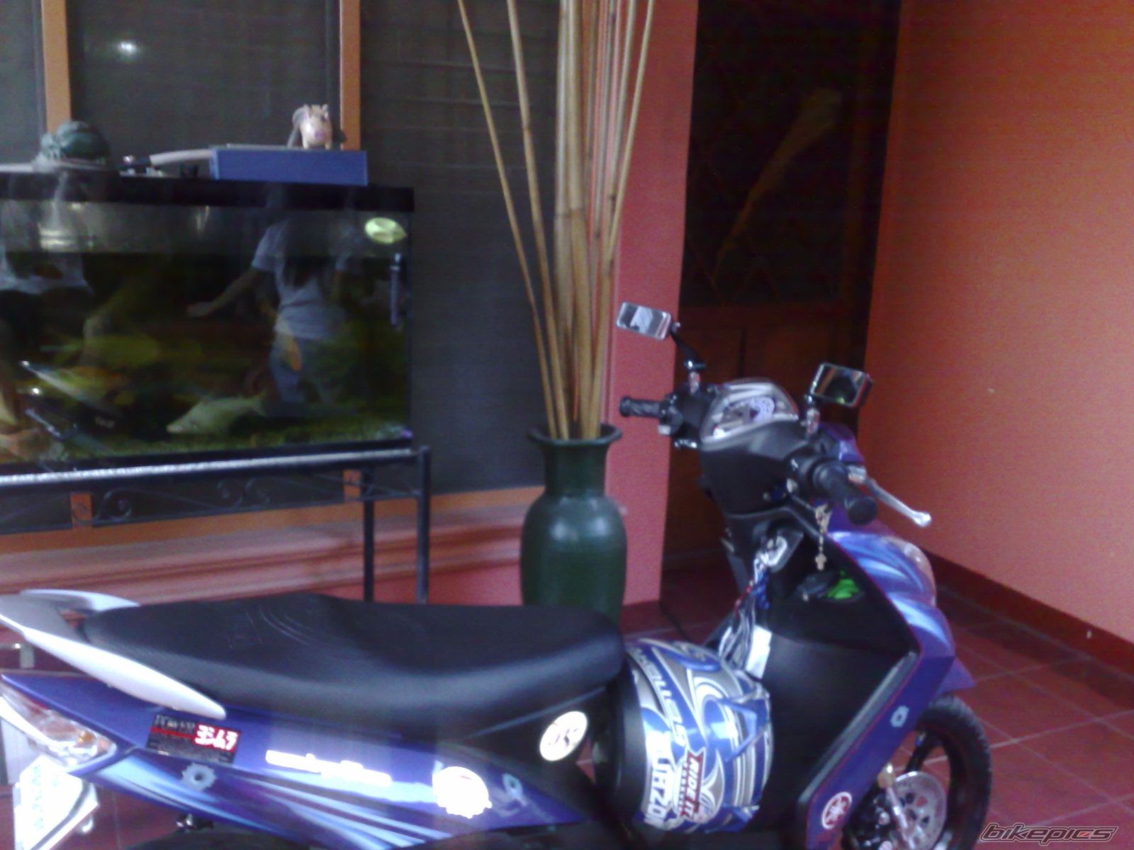 Photo 1418716