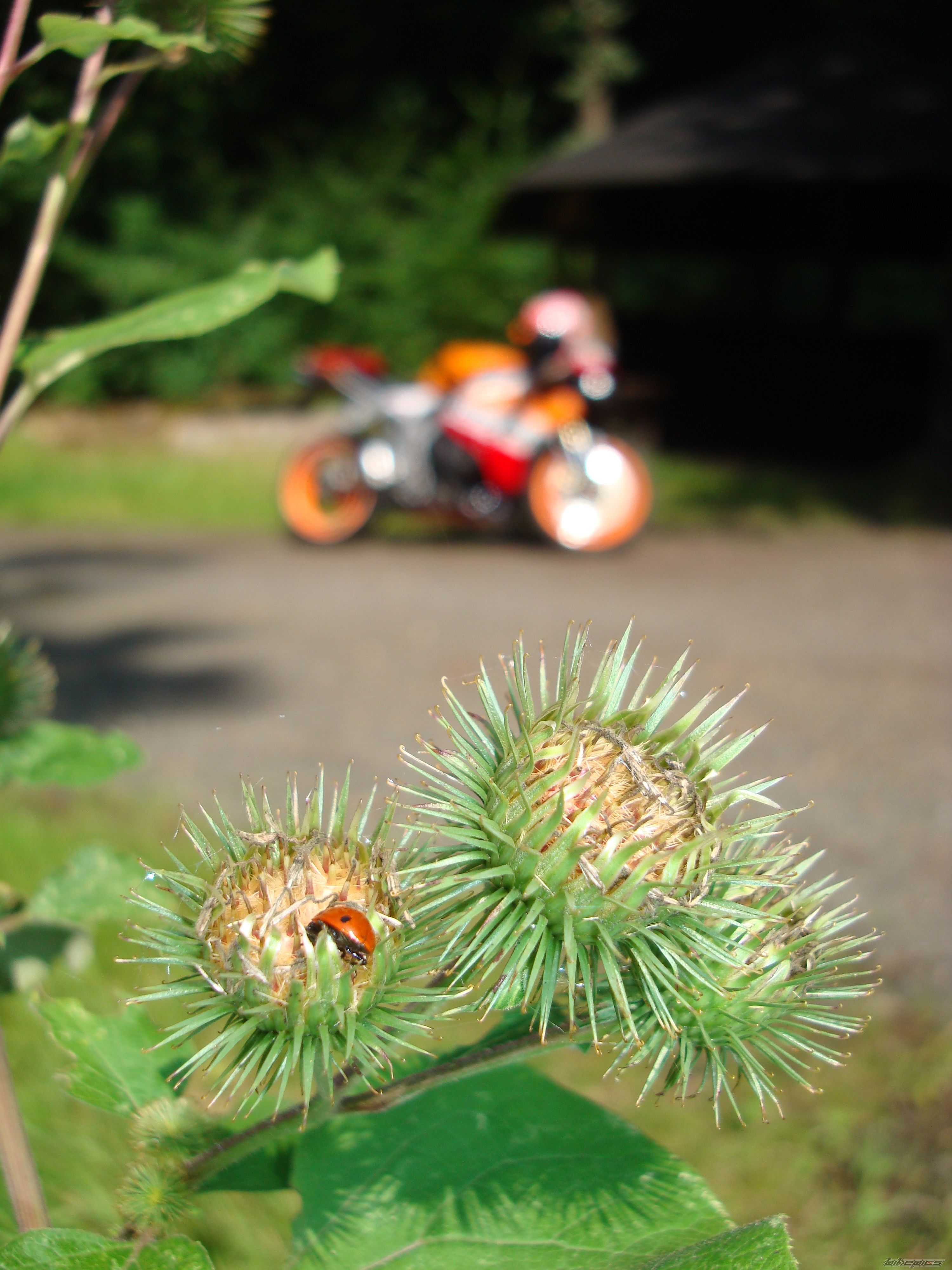 Photo 1418838