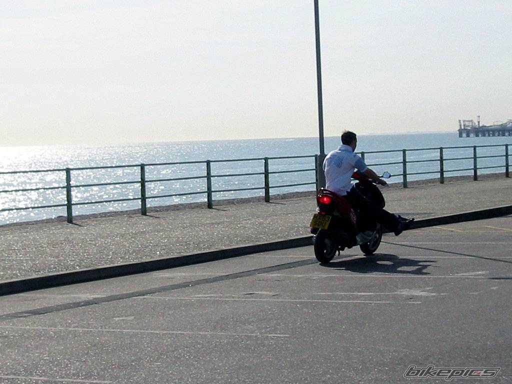 Photo 141896