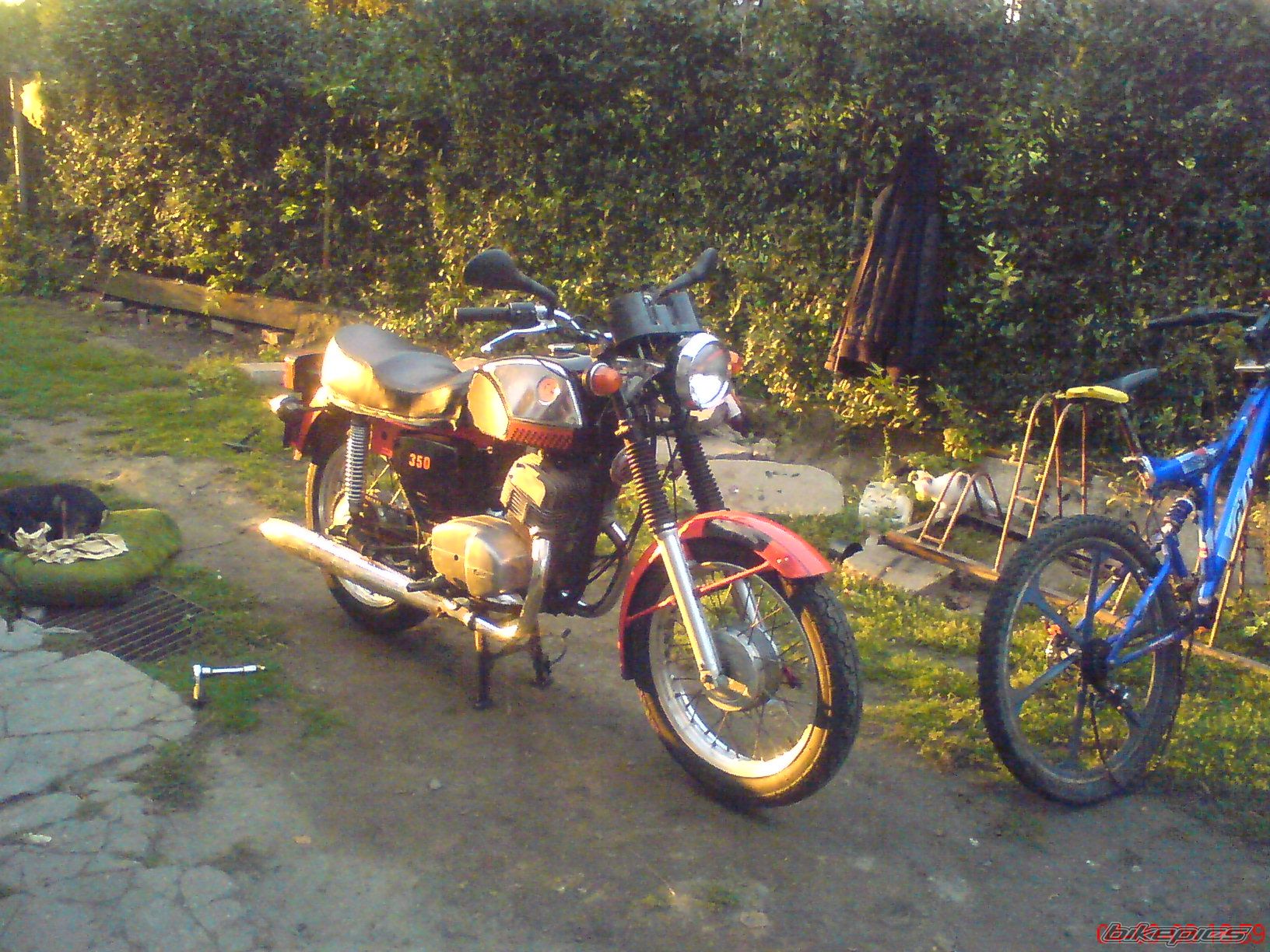 Photo 1419012