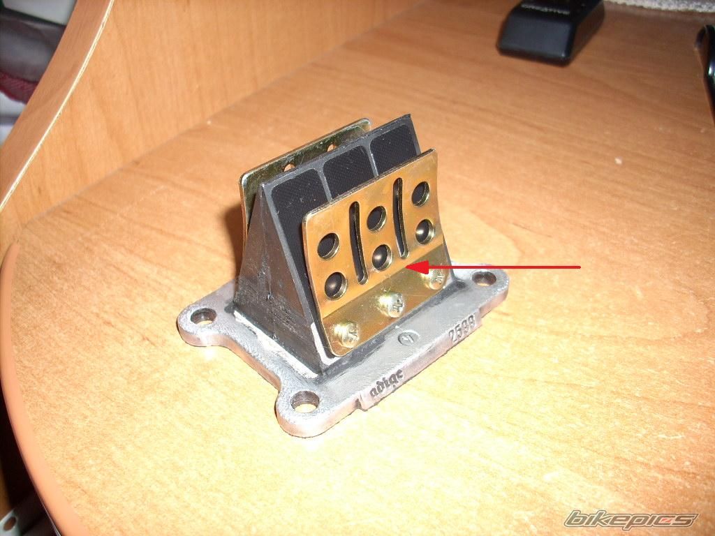 Photo 1419054